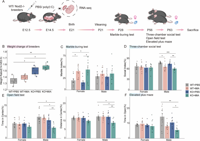 Fig. 1: Experimental overview and behavioral outcomes.