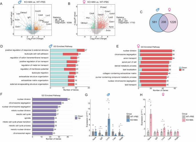 Fig. 4: Both shared and sex-specific alterations exist in male and female placentas.