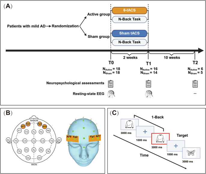 Fig. 1: Study design and experimental procedures.