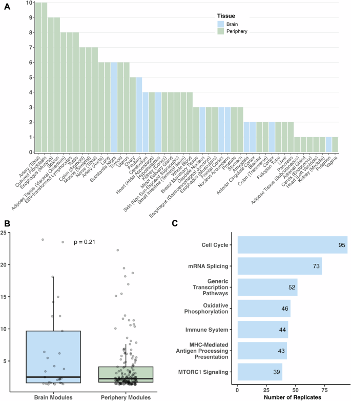 Fig. 2: Informative tissues and pathways based on module enrichment for ASD GWAS signals.