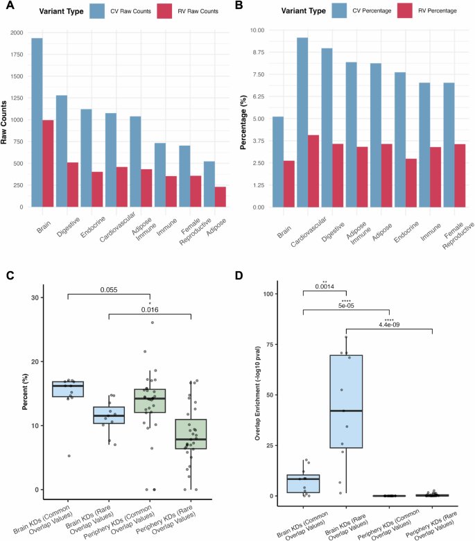 Fig. 4: Comparison of brain and peripheral tissue networks and key drivers in terms of overlap with common and rare ASD variants.