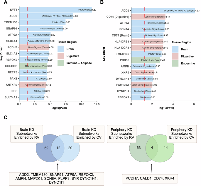 Fig. 5: Key driver subnetwork characteristics: Variant enrichment and convergence across brain and peripheral tissues.
