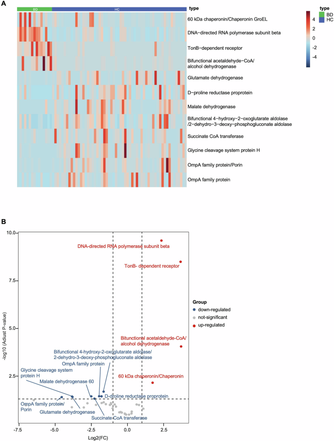 Fig. 3: Proteomic profiling reveals altered bacterial protein expression in BD patients.