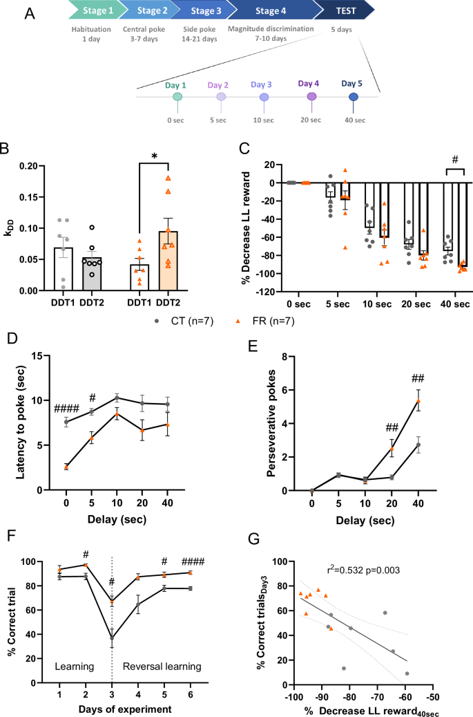 Fig. 1: Description of the training and the DDT stages and behavioral exploration in food restricted mice.