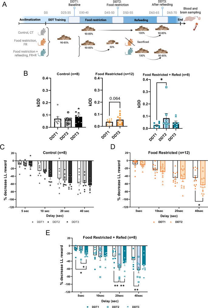 Fig. 2: Refeeding partially restores food restriction-induced enhanced cognitive impulsivity in female mice.
