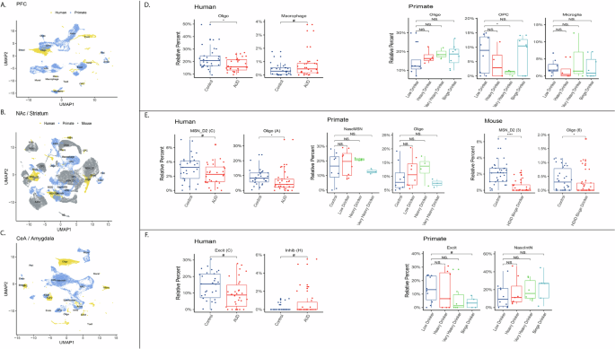 Fig. 2: Single-cell Deconvolution of AUD and Alcohol Use Brain Signatures Across Animal Models and Brain Regions.