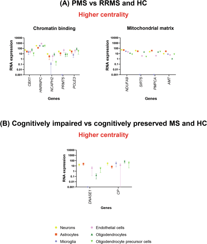 Fig. 4: Overview of specific RNA expression in brain cell types of the different genes showing a significant and reliable spatial association (chance likelihood <0.001 and auto-correlation ≥0.2) and an adjusted cross-correlation with a R2 ≥ 0.15 with the voxel-wise differences in centrality between MS patients, according to their clinical phenotype and cognitive status, and HC.