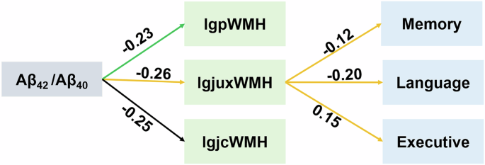 Fig. 5: Effect of Plasma Biomarker Aβ42/Aβ40 on Cognitive Function Through Mediating Variable White Matter Hyperintensities.