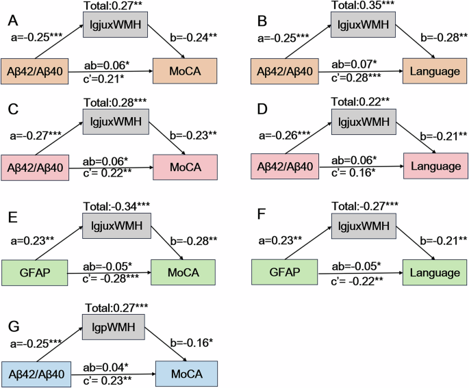 Fig. 6: WMH mediated the association of plasma biomarkers with cognitive dysfunction.