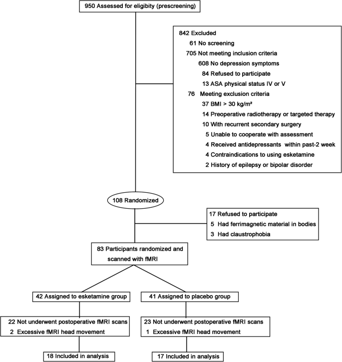 Fig. 1: Study flow diagram.