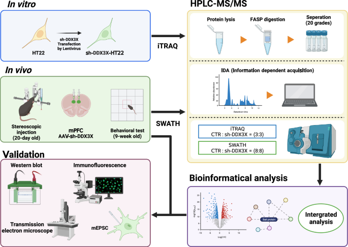 Fig. 1: Study flow diagram.