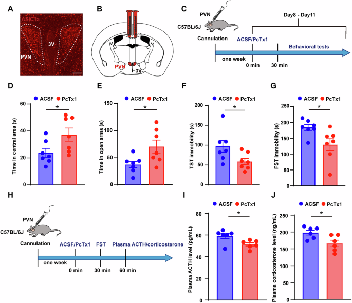 Fig. 1: Inhibition of ASIC1a in the PVN ameliorated anxiety- and depression-like behaviors and decreased HPA axis activity.