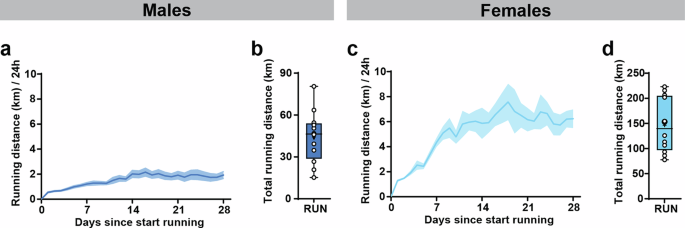 Fig. 2: Running behavior in males and females.
