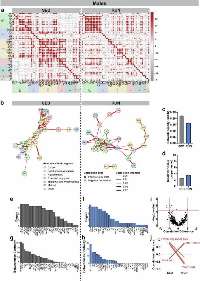 Fig. 5: Network analysis reveals altered ΔFOSB co-activation following VWR in males.