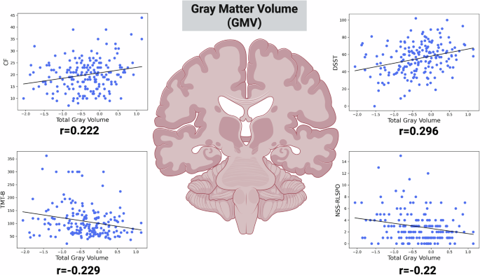 Fig. 2: Associations of gray matter volume (GMV) with cognitive and sensorimotor measures.