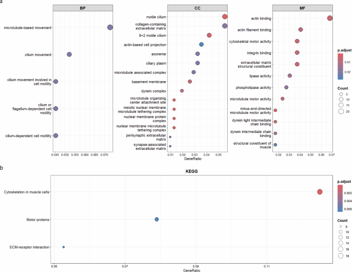 Fig. 4: Pathways enrichment analyses for common genetic variants in individuals with methamphetamine use disorder.