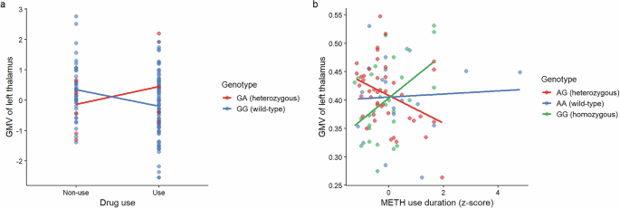 Fig. 5: Interaction effects between common genetic variants and drug use characteristics on gray matter volume in the thalamus.