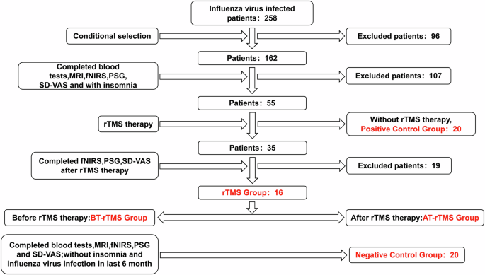 Fig. 2: Study data screening process and grouping.