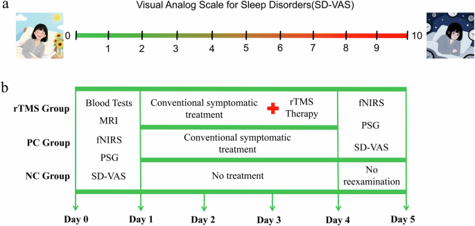 Fig. 3: Sleep disorder visual analogue scale (SD-VAS) and treatment protocol.