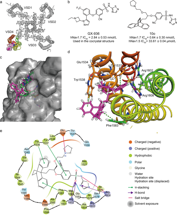 Discovery Of Aryl Sulfonamide Selective Nav1 7 Inhibitors With A Highly Hydrophobic Ethanoanthracene Core Acta Pharmacologica Sinica Discovery Of Aryl Sulfonamide Selective Nav1 7 Inhibitors With A Highly Hydrophobic Ethanoanthracene Core Acta Pharmacologica Sinica