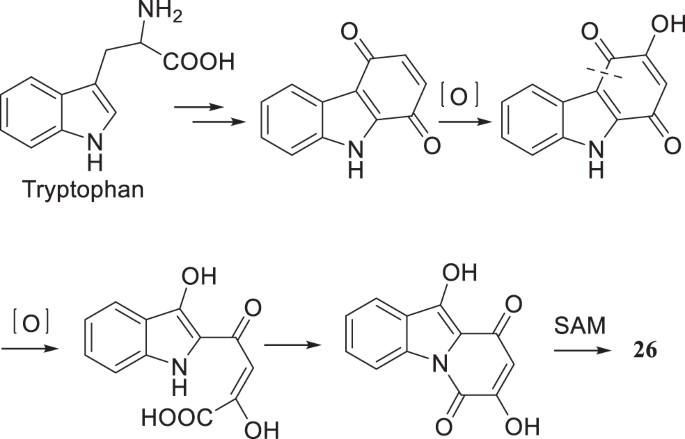 scheme 1