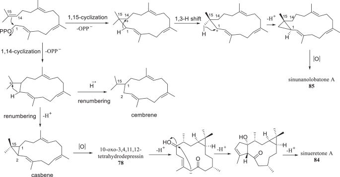 scheme 4