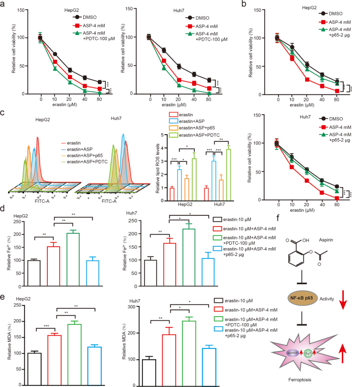 Aspirin triggers ferroptosis in hepatocellular carcinoma cells through  restricting NF-B p65-activated SLC7A11 transcription | Acta Pharmacologica  Sinica