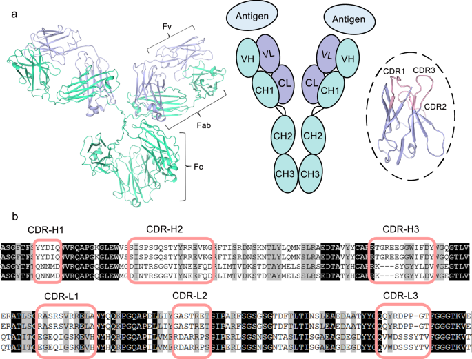 AIdriven antibody design with generative diffusion models current