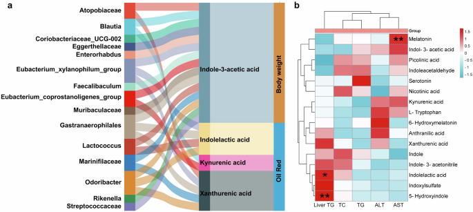 Fig. 10: CB2R-mediated gut dysbiosis contributed to NAFLD development in association with tryptophan metabolites.