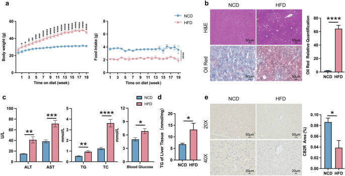 Fig. 1: The decreased expression of hepatic CB2R in HFD induced NAFLD mice.