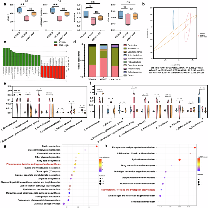Fig. 7: The microbial community of CB2R-/- mice with NCD was similar to HFD-induced NAFLD mice.