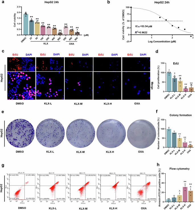 Fig. 1: Effects of KLX on HepG2 cell proliferation.