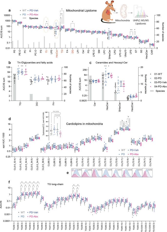 Fig. 10: Untargeted lipidomic and cardiolipin analyses in isolated mitochondria.