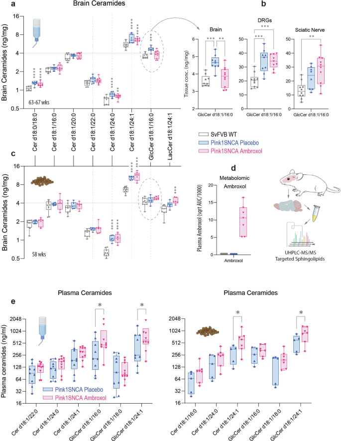 Fig. 7: Ceramides and hexosylceramides in PD mouse brain.