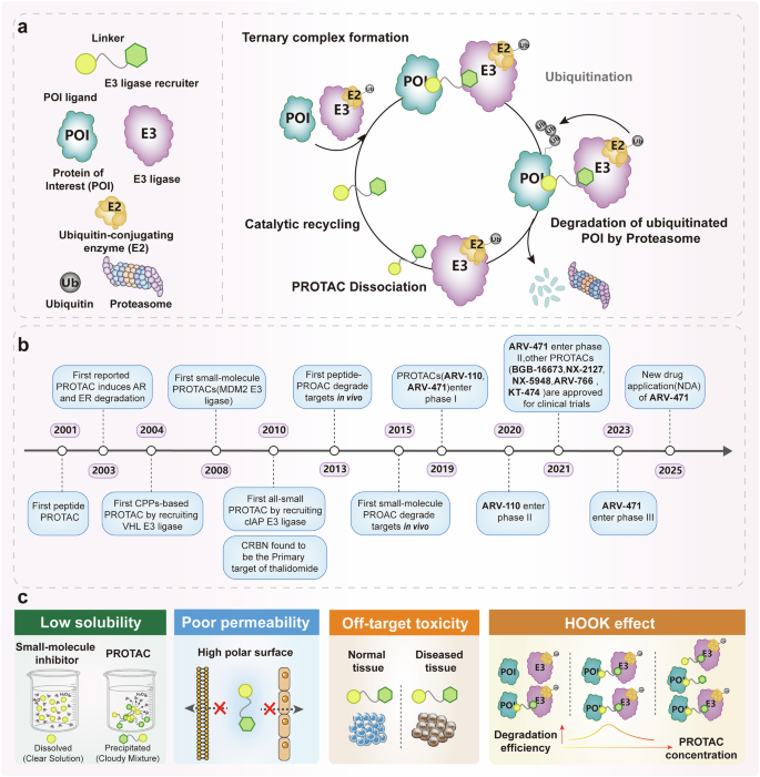 kb glutathione trial pack price 2015 Isocitrate dehydrogenase 1 primes group-3 medulloblastomas for cuproptosis: Cancer Cell Sarcopenia and cachexia: molecular mechanisms