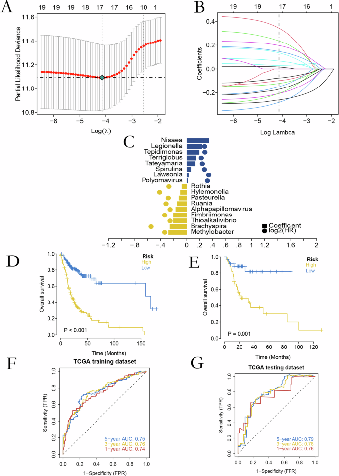 Fig. 1: Development of an OSCC prognostic model based on intratumoral microbiota.