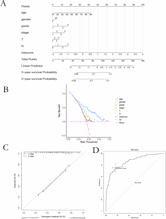 Fig. 2: Risk scoring and prognostic evaluation in OSCC.