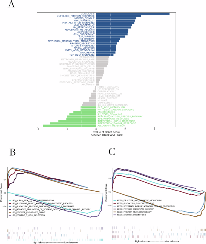 Fig. 4: Pathway analyses associated with microbial risk.