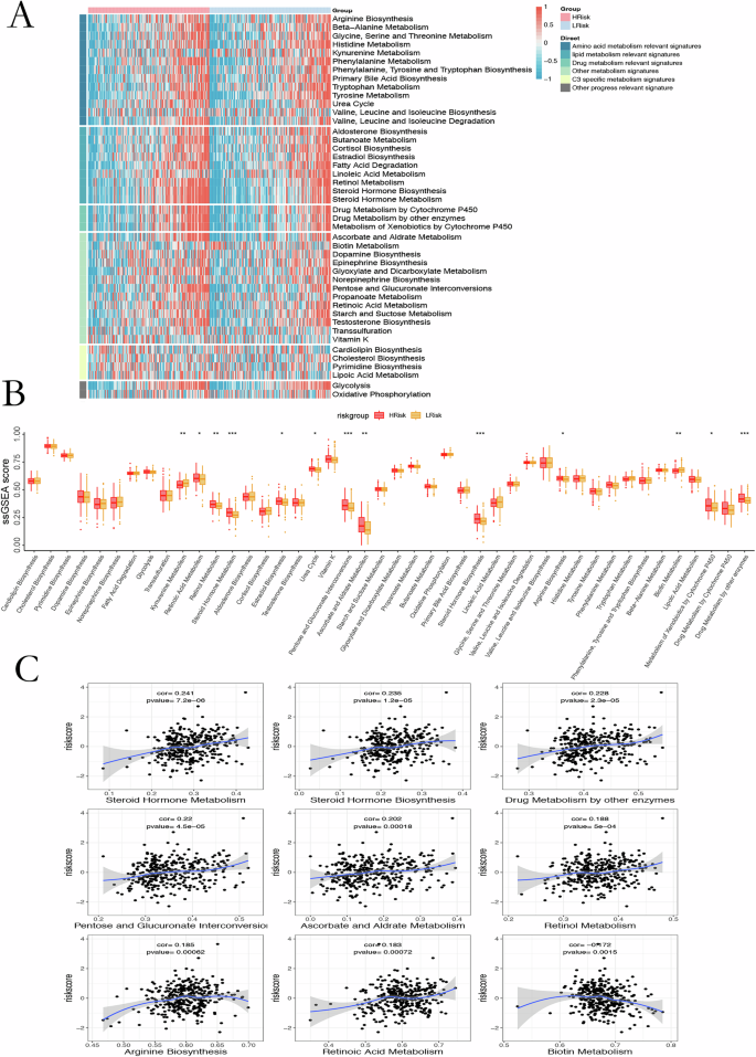 Fig. 5: Metabolic pathway enrichment.