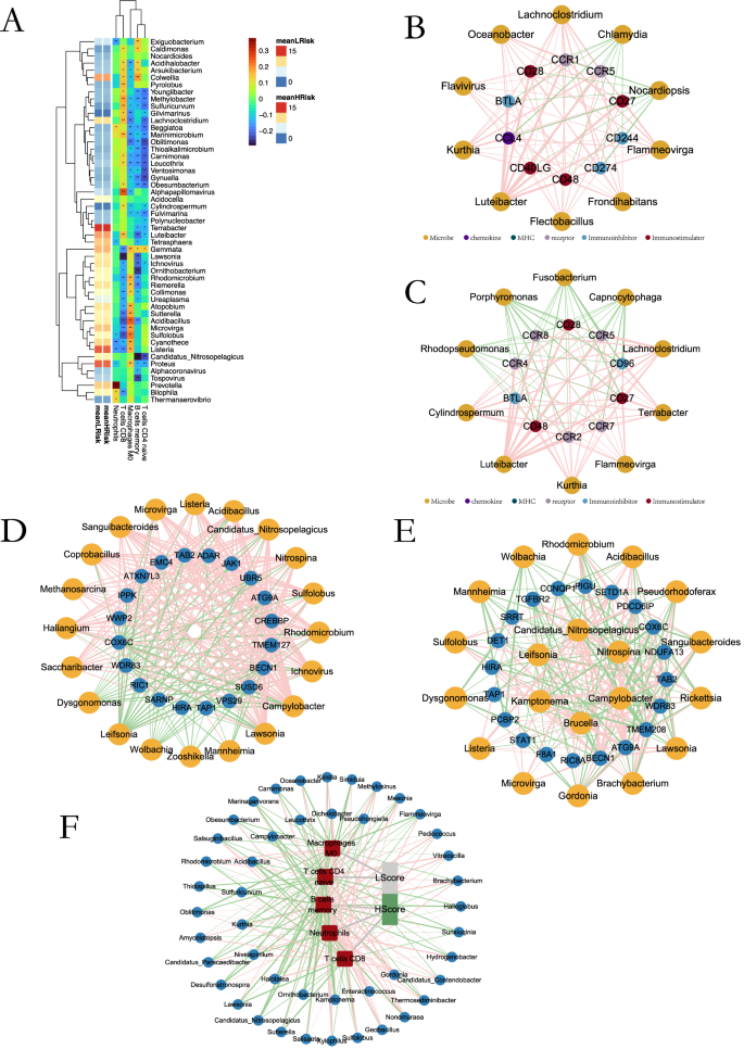 Fig. 8: Immunomodulator–microbiome interactions.