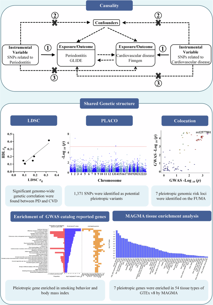 Fig. 1: Study workflow.