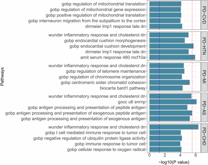 Fig. 4: Bar plot of MAGMA gene-set analysis for genome-wide pleiotropic results.