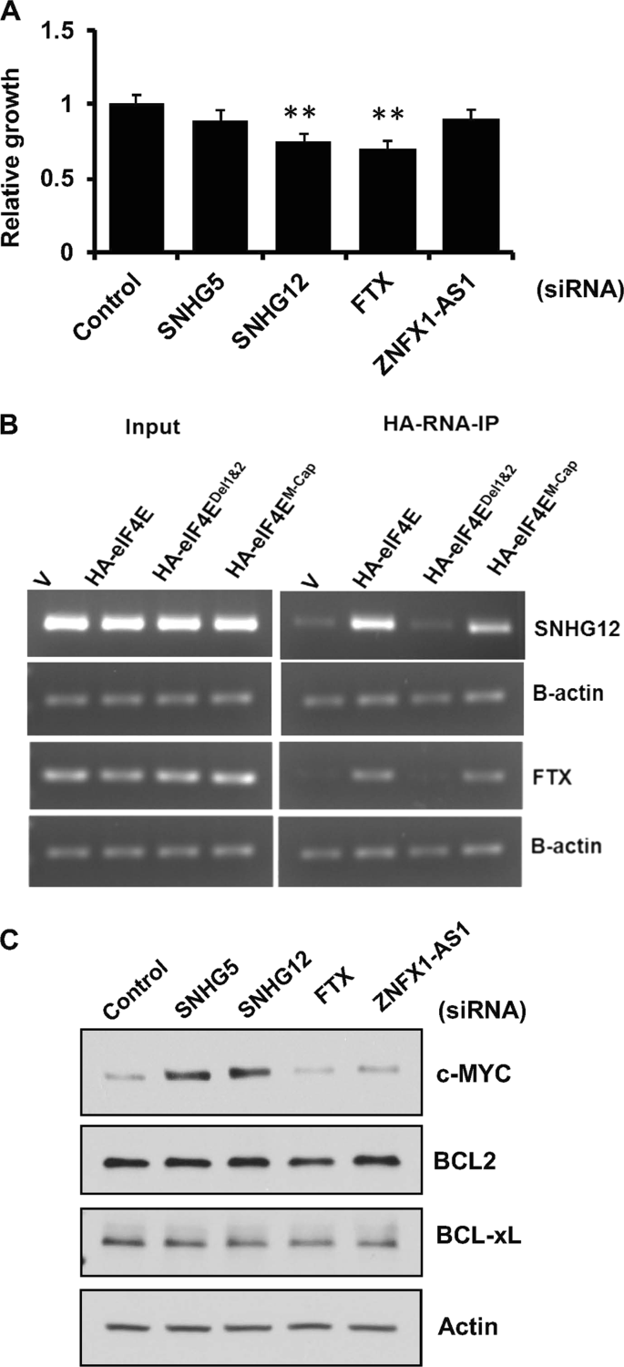figure2