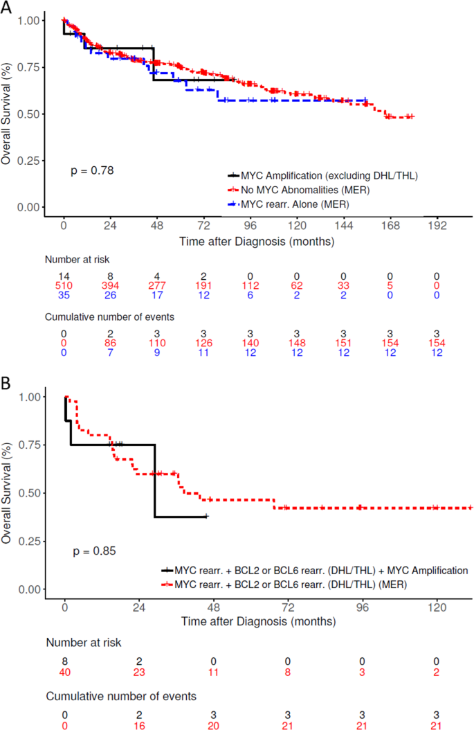 Fig. 4: Overall survival of DLBCL patients from high-level MYC amplification cohort compared to DLBCL patients from the MER cohort.
