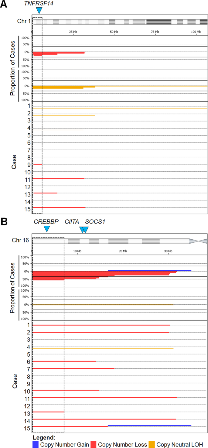 Fig. 3: Recurrent chromosomal abnormalities.