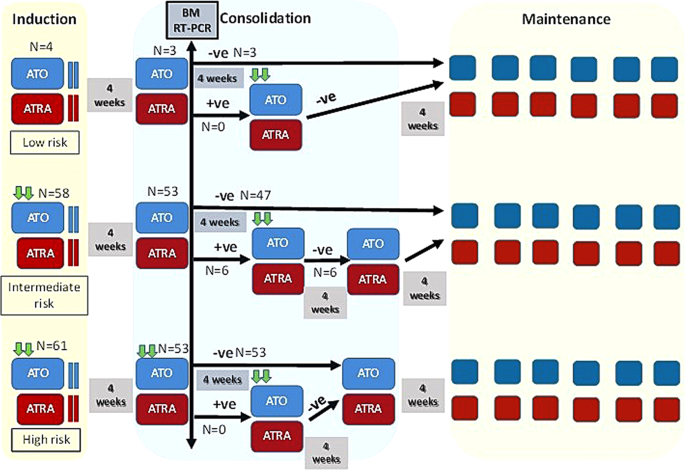Fig. 1: Treatment schedule for newly diagnosed patients with acute promyelocytic leukemia.