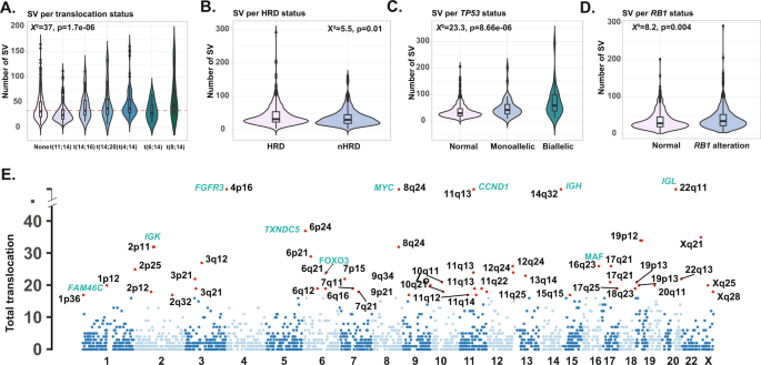Fig. 1: Distribution of SV across the genetic subgroups of NDMM (n = 812).