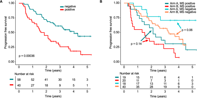 Fig. 4: Prognostic Impact of mass spectrometry in patients with complete response.