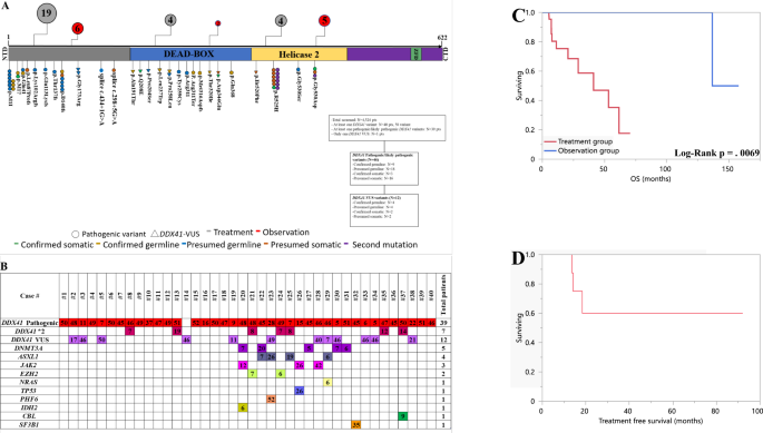 Fig. 1: Observation and treatment in DDX41 mutated myeloid neoplasms.