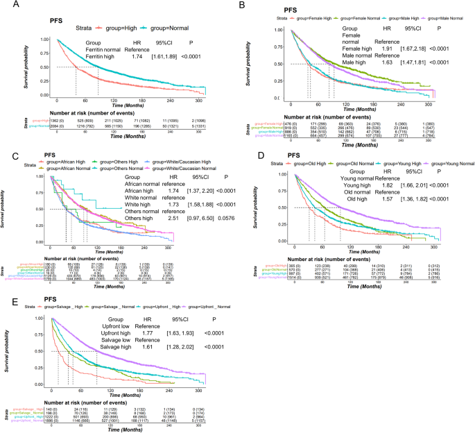 Fig. 1: PFS of ferritin and ferritin in different age, gender, race subgroups.